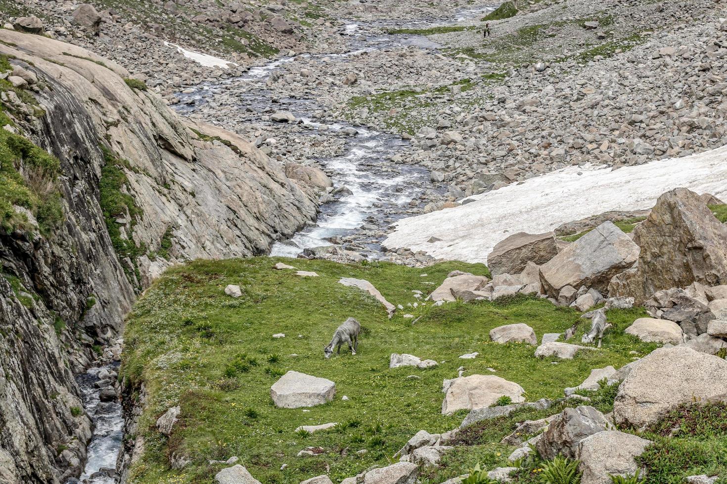 kumrat tal schöne landschaft bergblick foto