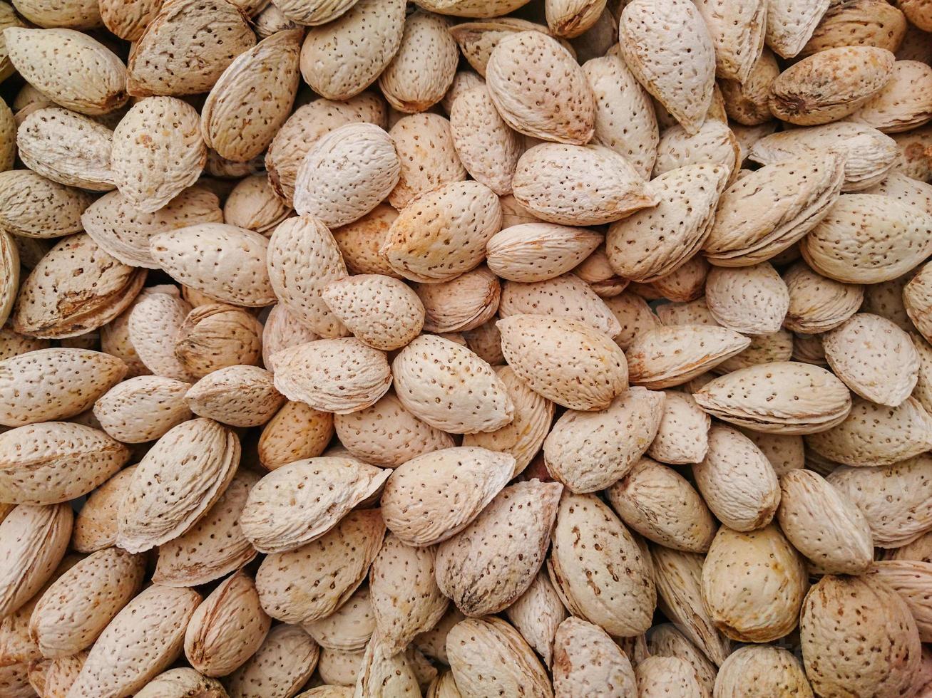 Mandel mit Muschelmusterhintergrund foto