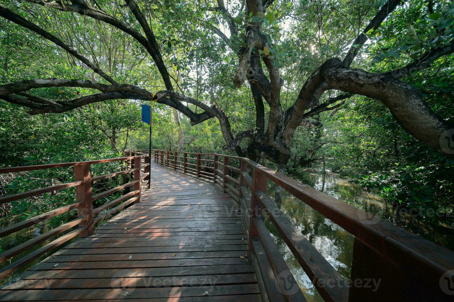 hölzern Brücke Über das Feuchtgebiet im Thailand foto