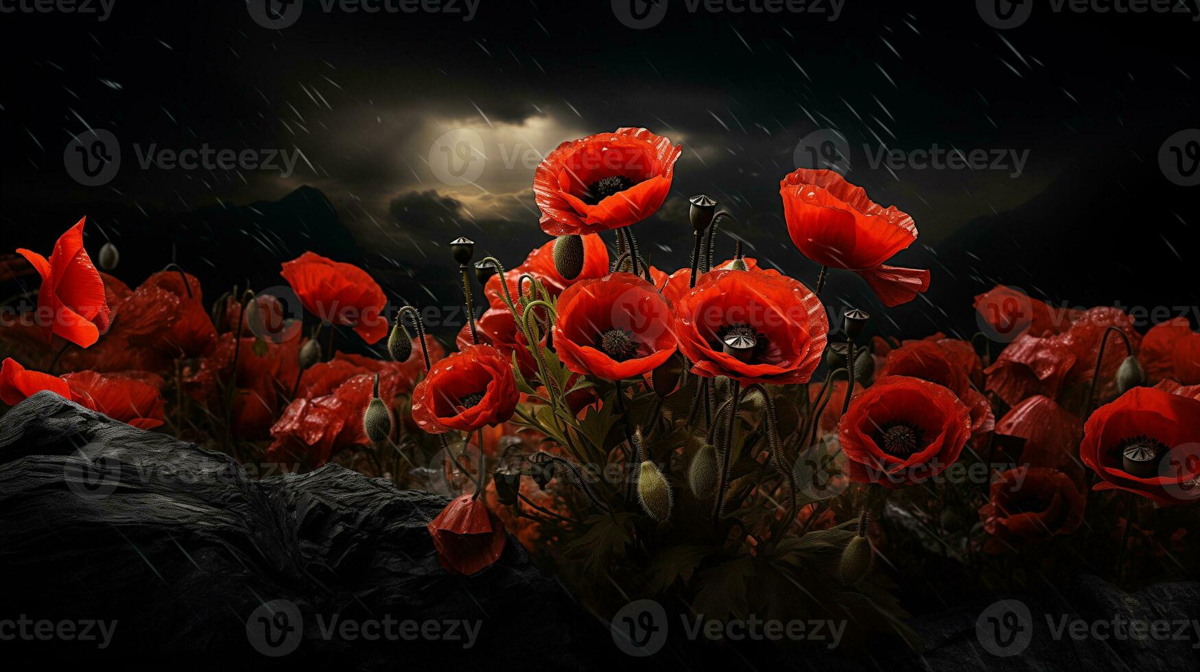 ai generiert rot Mohn Blumen gegen ein dramatisch schwarz Himmel foto