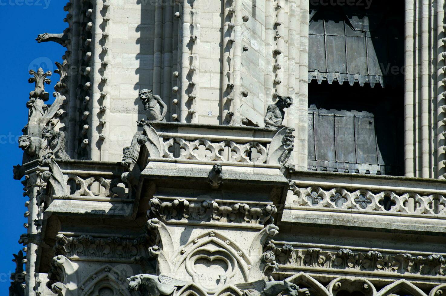 das tolle Wasserspeier von notre Dame de Paris im Frankreich. ein gotisch Gebäude gebaut während mittelalterlich mal, ist Zuhause zu ein Nummer von Skulpturen, einschließlich viele Wasserspeier. foto