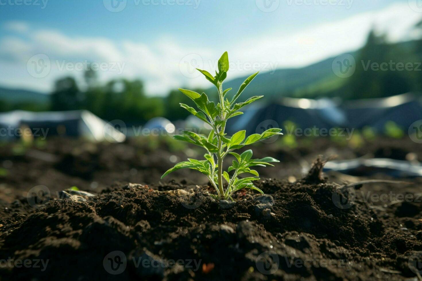 ai generiert Umwelt Verwalterschaft ein Baum Sein gepflanzt zu beitragen zu Klima Veränderung Milderung ai generiert foto