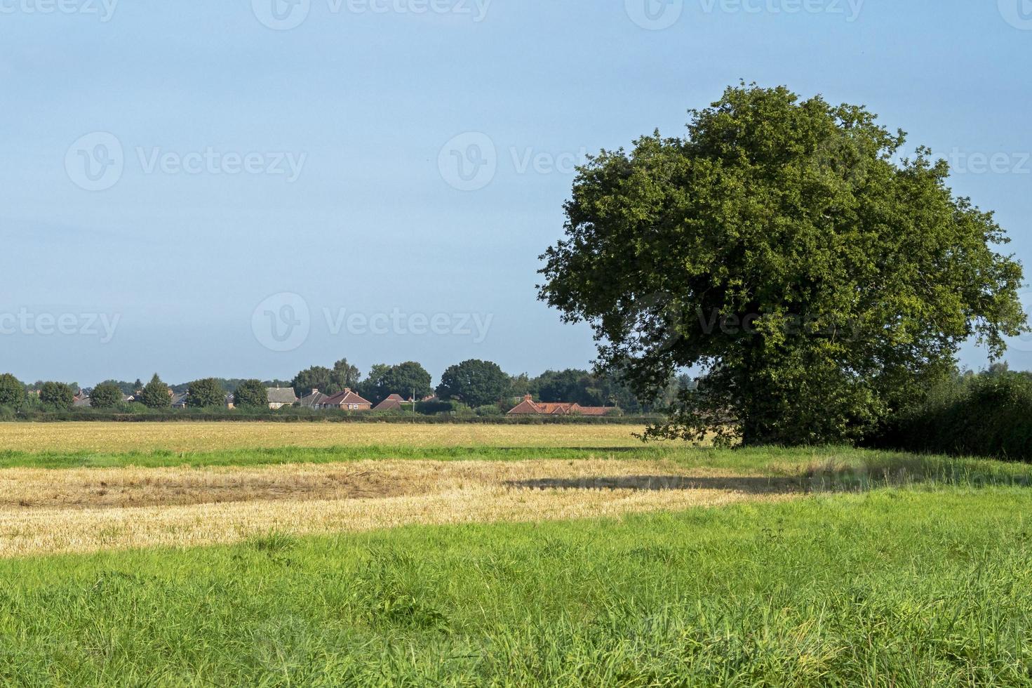 Blick über ländliche Felder zum Dorf Bishopthorpe, North Yorkshire, England? foto