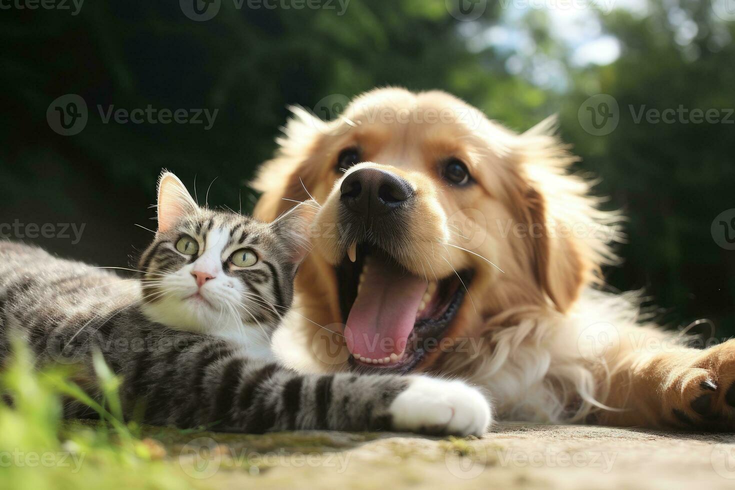 ai generiert schließen oben Katze und Hund zusammen lügnerisch, ai generativ foto