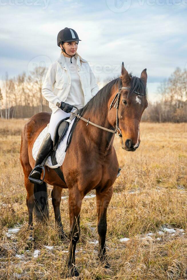 schön blond Fachmann weiblich Jockey Reiten ein Pferd im Feld. hoch Qualität Foto