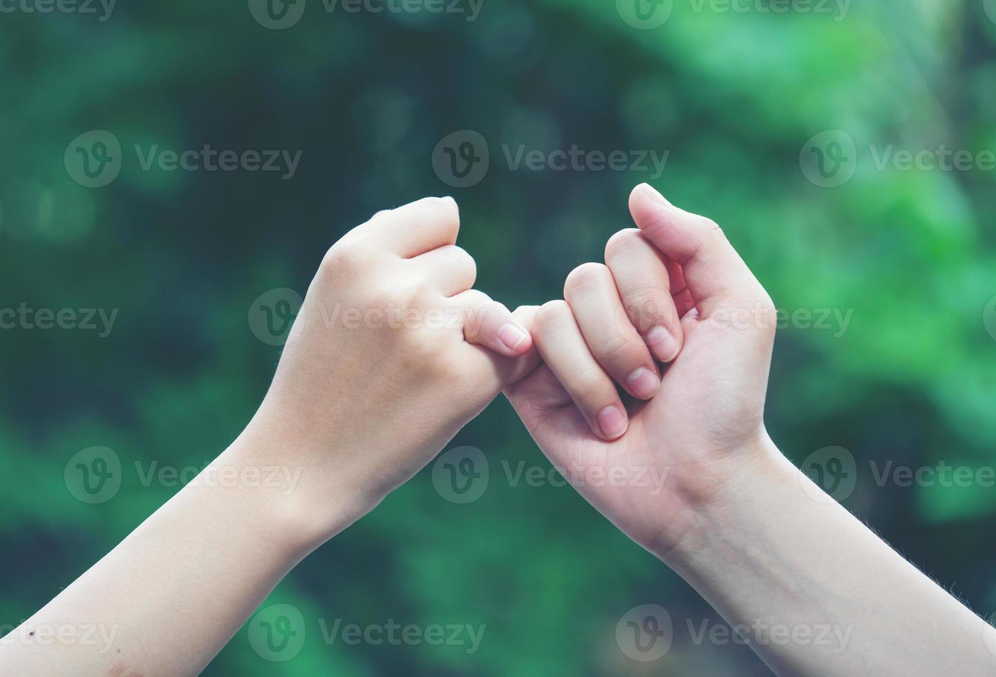 Hände haken sich gegenseitig den kleinen Finger auf Naturhintergrund ein foto