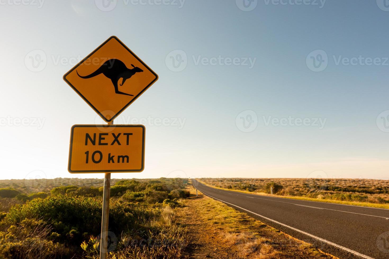 Känguru überqueren Straßenschild foto