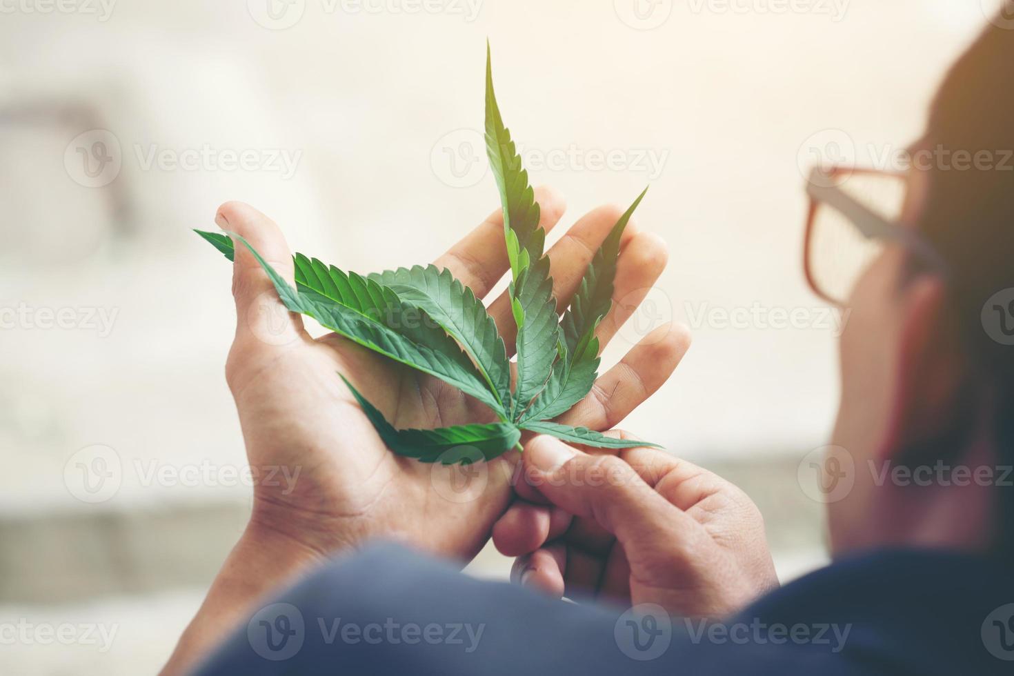 Hand hält Marihuanablatt foto