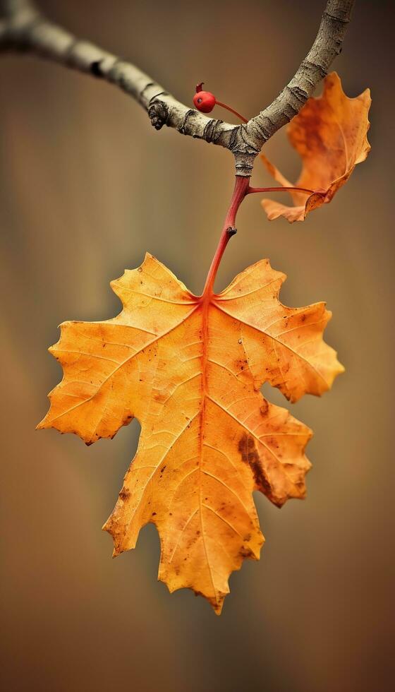 ai generiert 4k bunt Blatt amoled Hintergrund foto