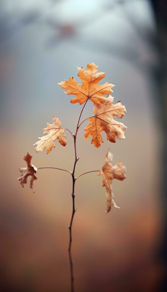 ai generiert 4k bunt Blatt amoled Hintergrund foto