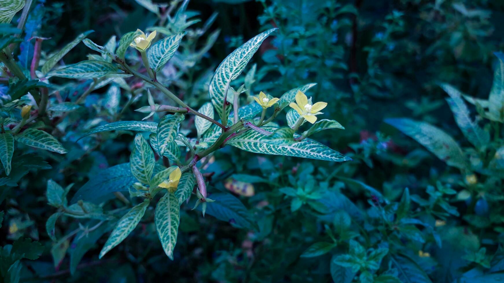 Gelb Farbe Blume und Baum Hintergrund foto