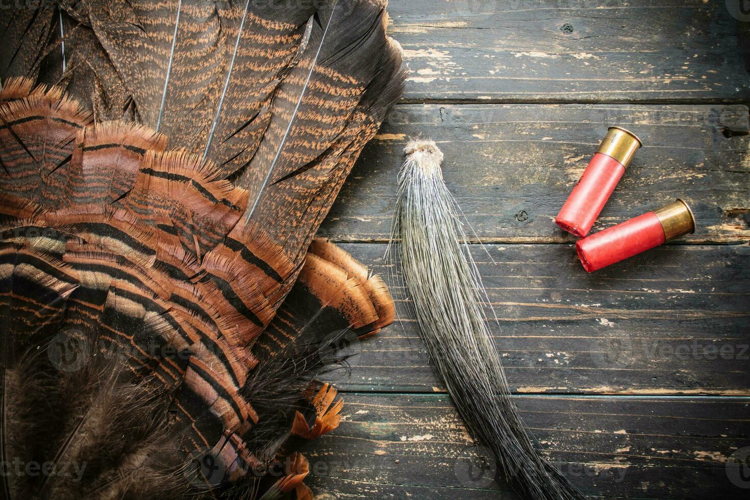 östlichen wild Truthahn Jagd Hintergrund foto