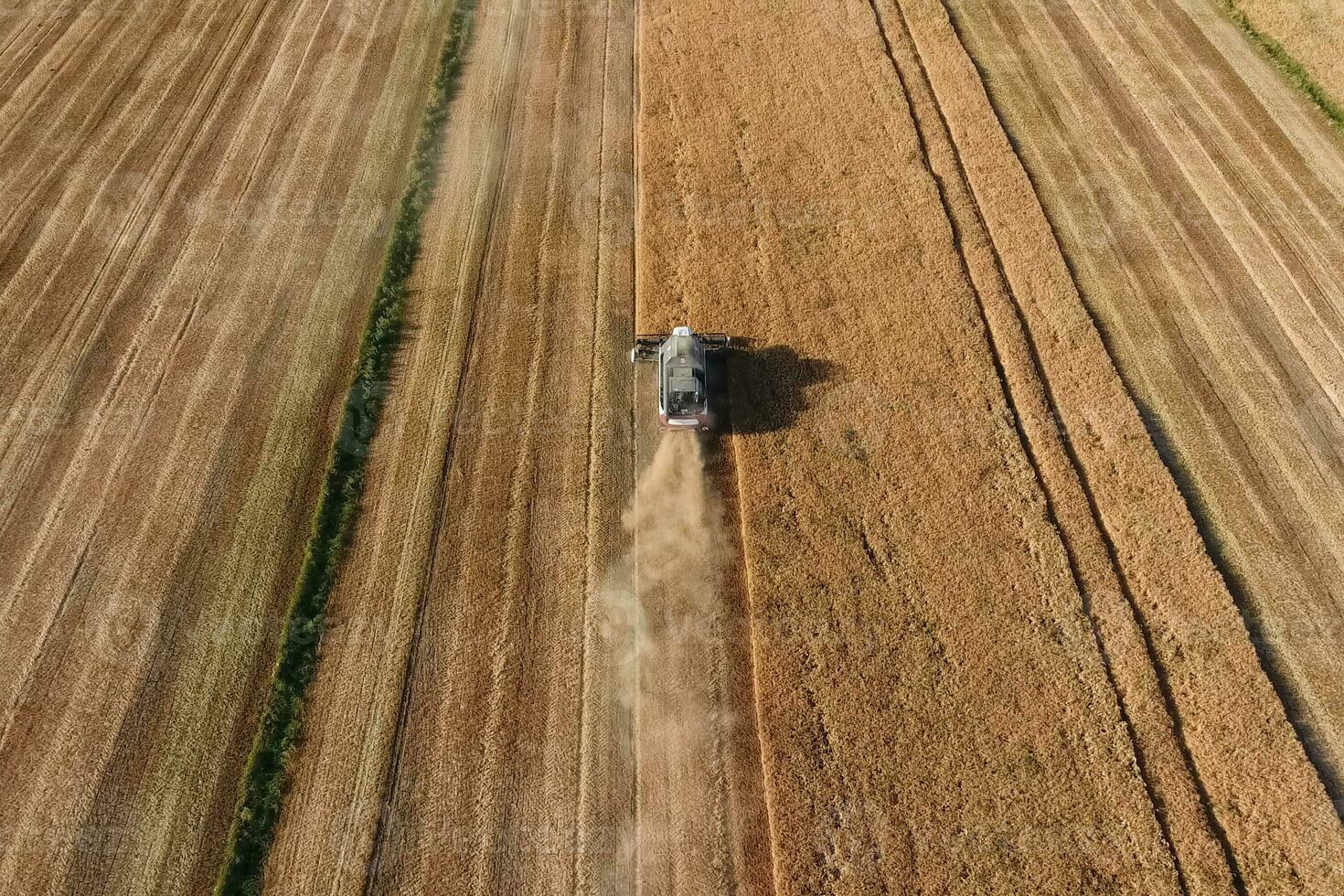 kombinieren Mähdrescher Ernte Gerste foto