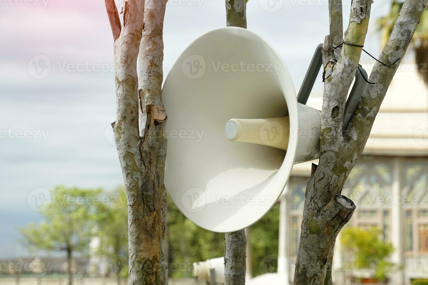 Horn Sprecher Eingerichtet auf Baum Geäst sind ein Art von Lautsprecher benutzt zu Übertragung Klang im das Gemeinschaft, welche ist Rede oder Ankündigungen. foto