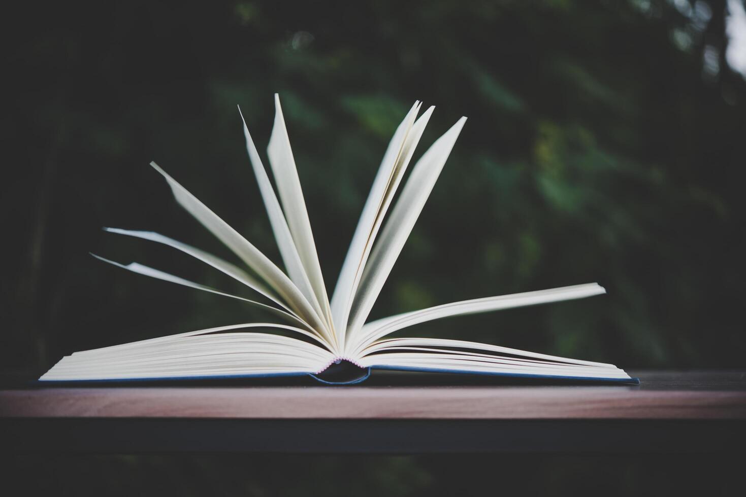 offenes Buch auf Holztisch im Freien foto