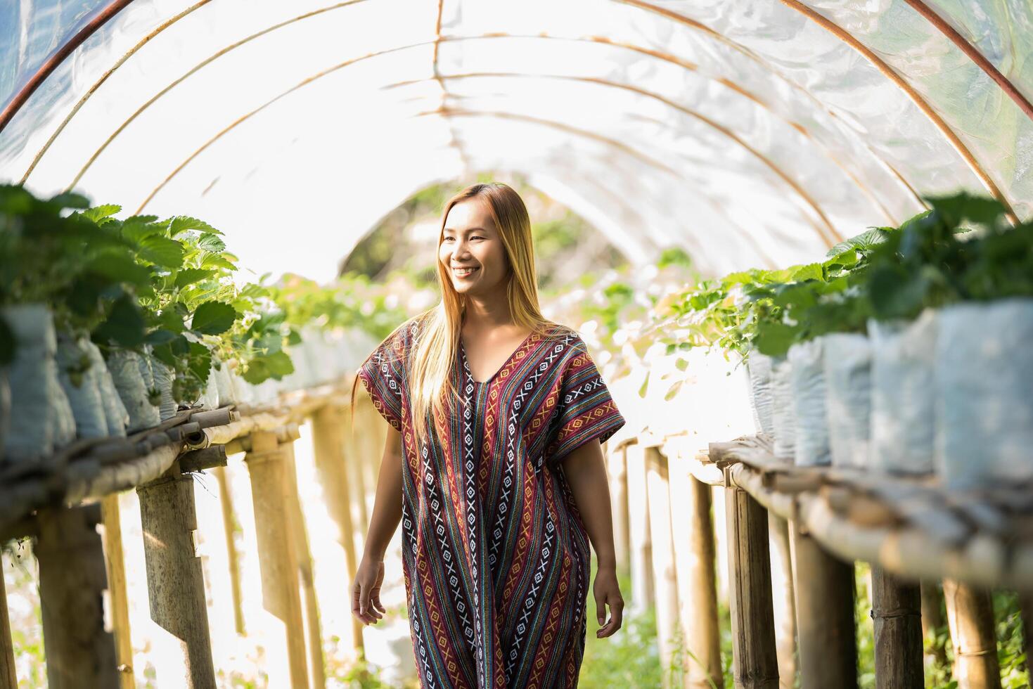 schöne Bäuerin, die Erdbeerfarm überprüft foto