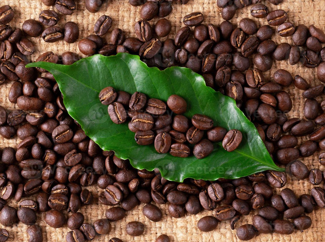 geröstete Kaffeebohne auf Lininsack foto