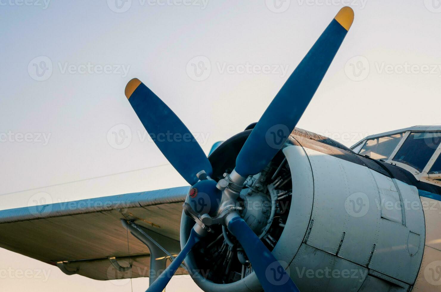 Cockpit Propeller und Flügel von ein alt Jahrgang Flugzeug foto