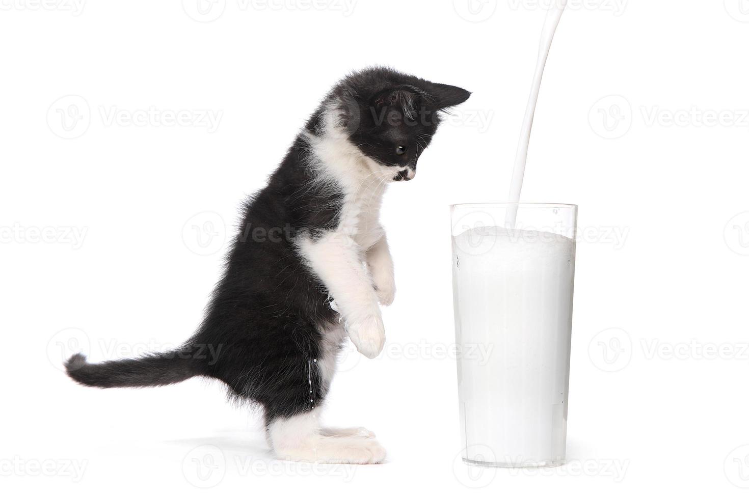 süßes Kätzchen, das zusieht, wie Milch in ein Glas gießt foto