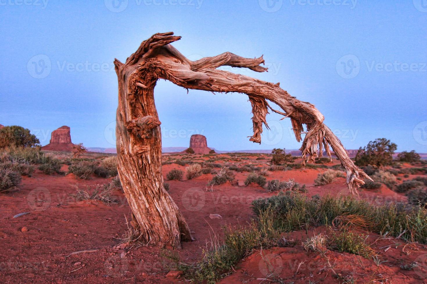 atemberaubende Monument Valley Landschaft foto