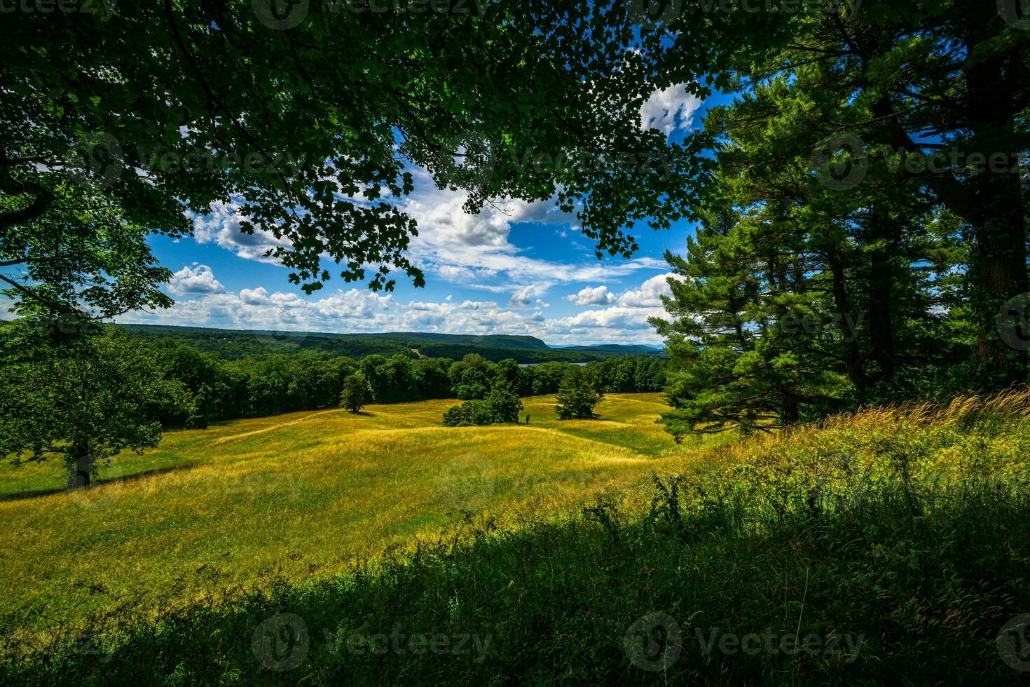 vanderbilt Villa National historisch Seite? ˅ foto