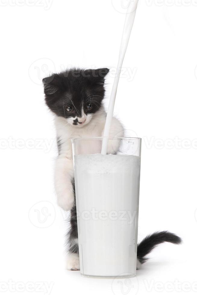 süßes Kätzchen, das zusieht, wie Milch in ein Glas gießt foto