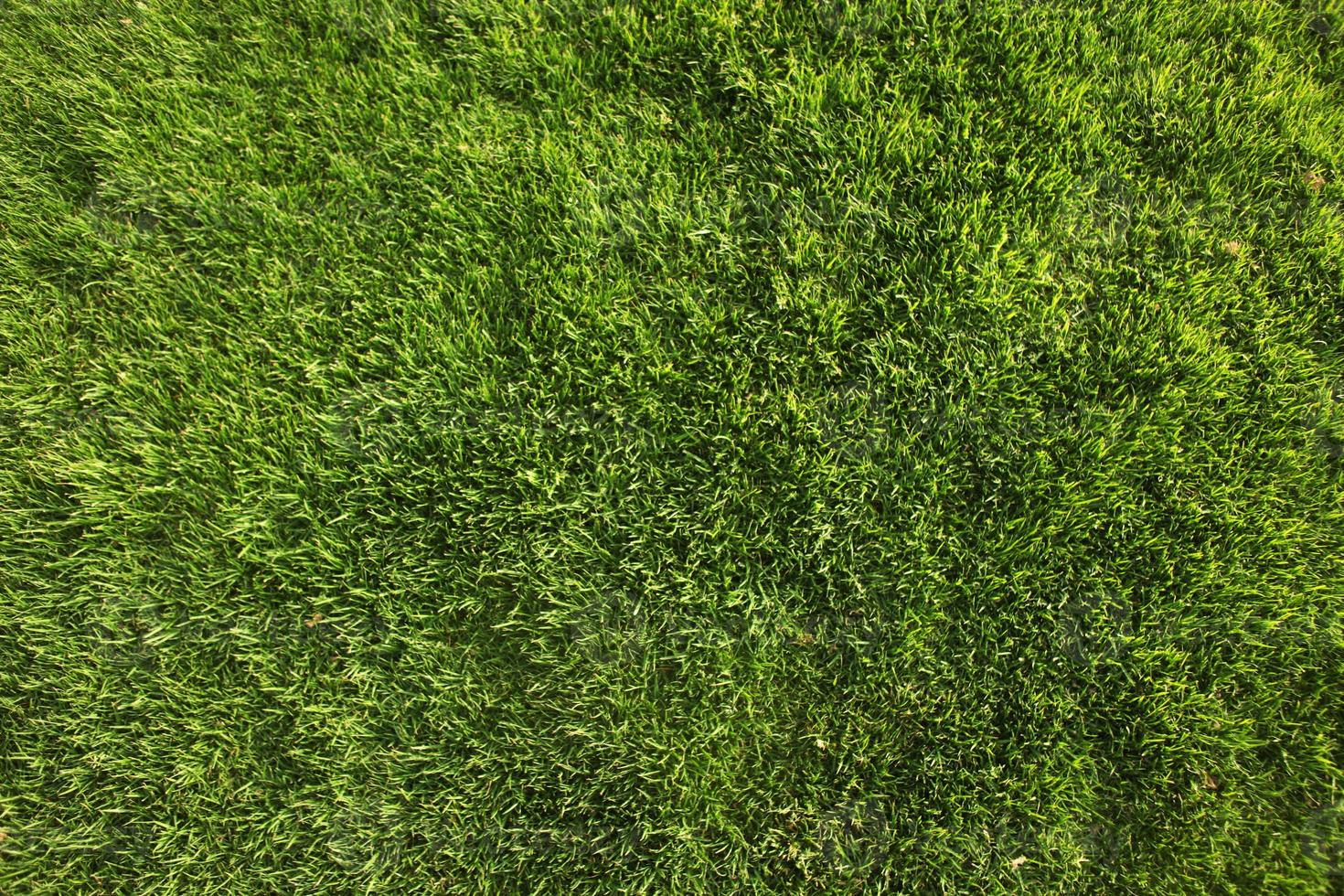 perfekter grüner Grashintergrund oder Textur foto