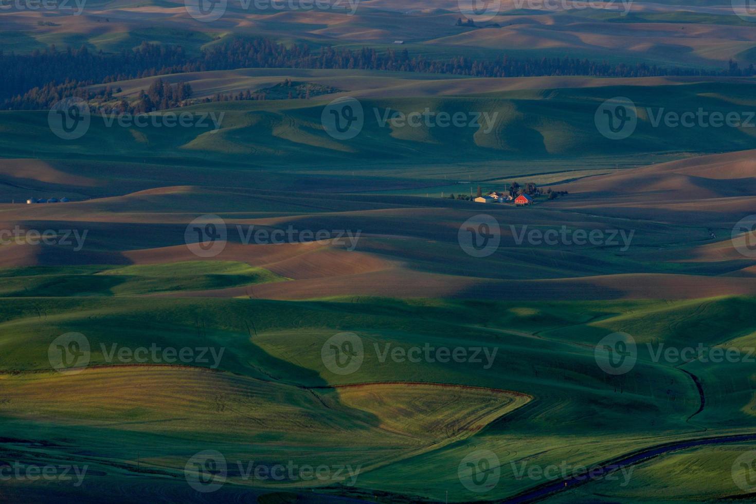 Palouse Washington von Steptoe Butte foto