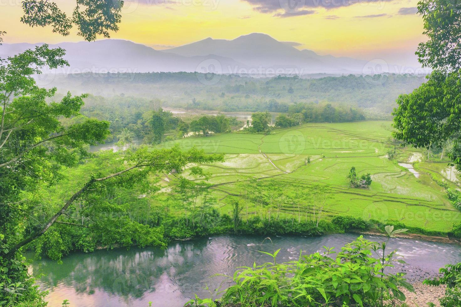 Blick auf Reisfelder am Morgen mit nebliger Morgenstimmung auf einem hohen Berg foto