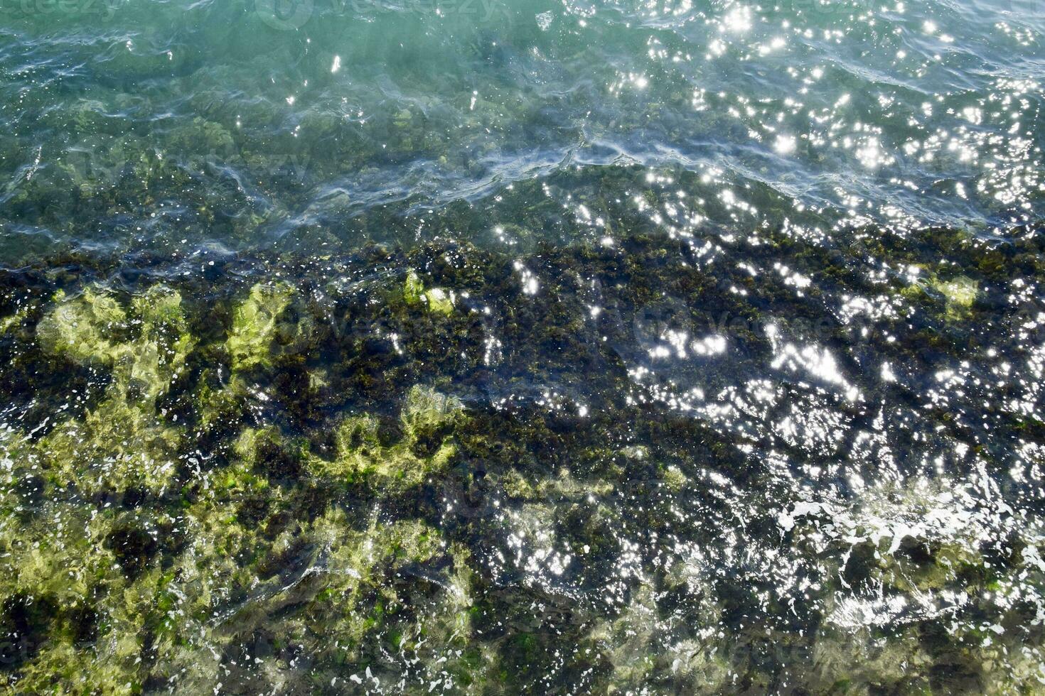 Seetang auf das Strand. Meer Wellen waschen Algen auf Felsen. foto