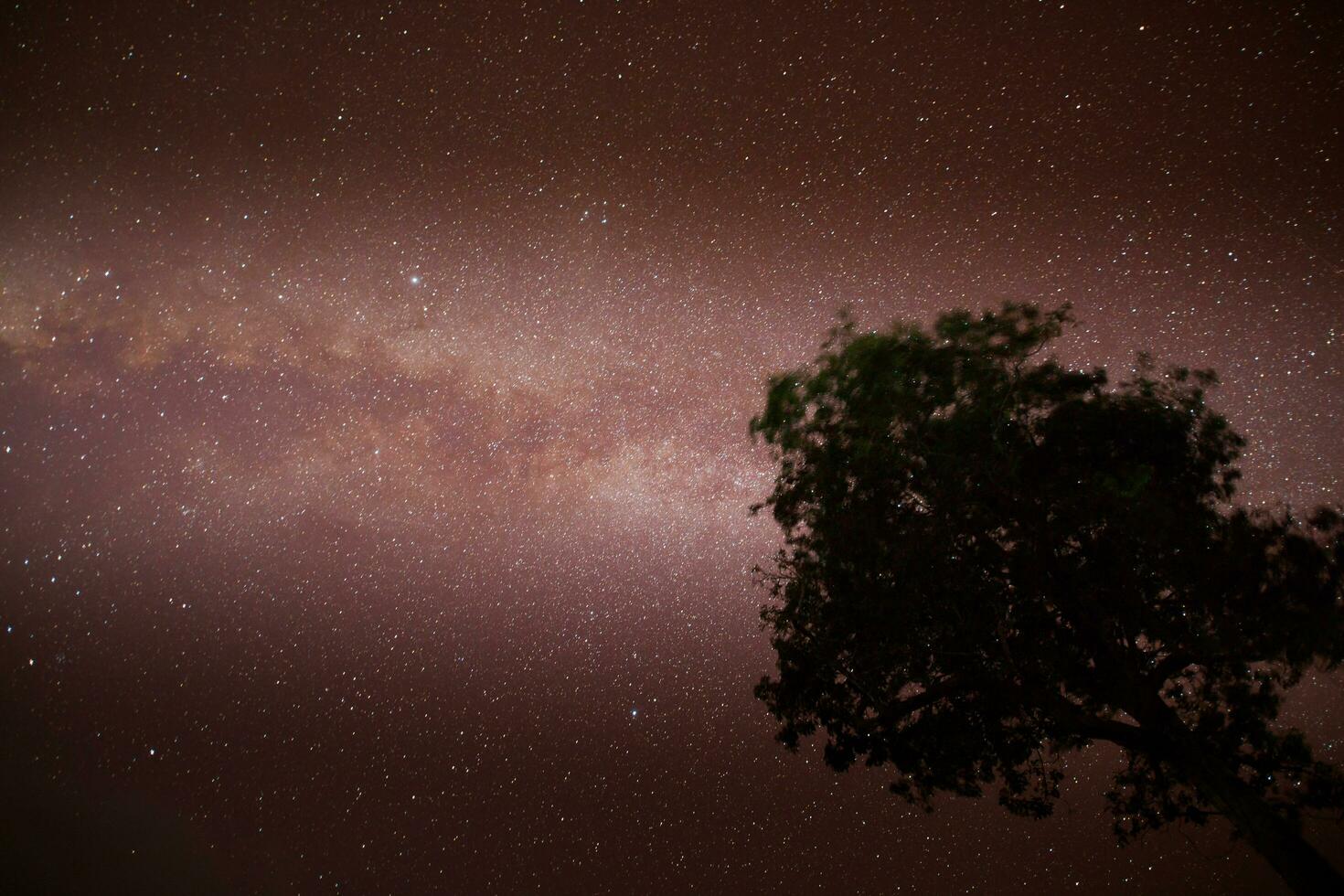 milchig Weg und Star beim Nacht Zeit foto