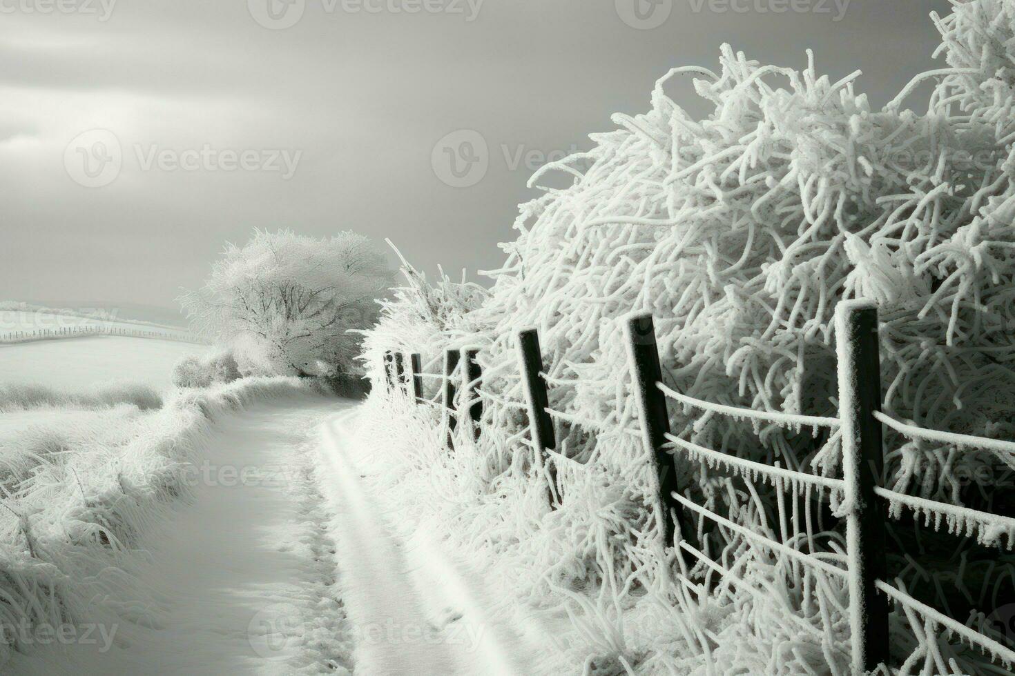 ai generiert schneebedeckt Landschaft fährt - - generativ ai foto