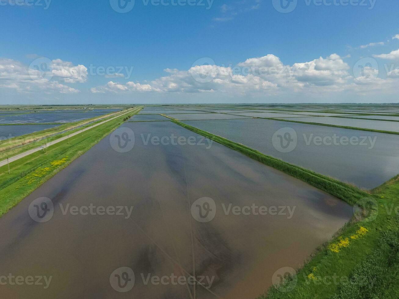 überflutet Reis Reisfelder. agronomisch Methoden von wachsend Reis foto