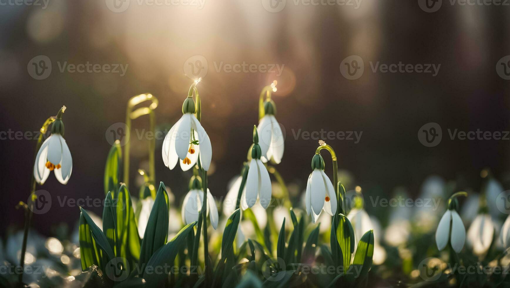 ai generiert schön Schneeglöckchen Blume schließen oben foto