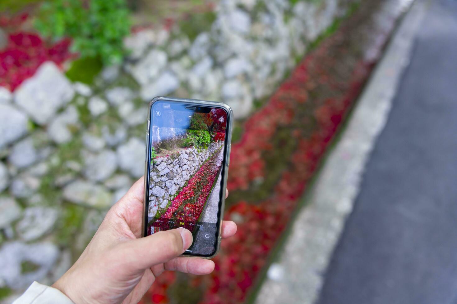 ein Smartphone Schießen gestapelt oben rot Blätter im das eng Rinne im Herbst foto