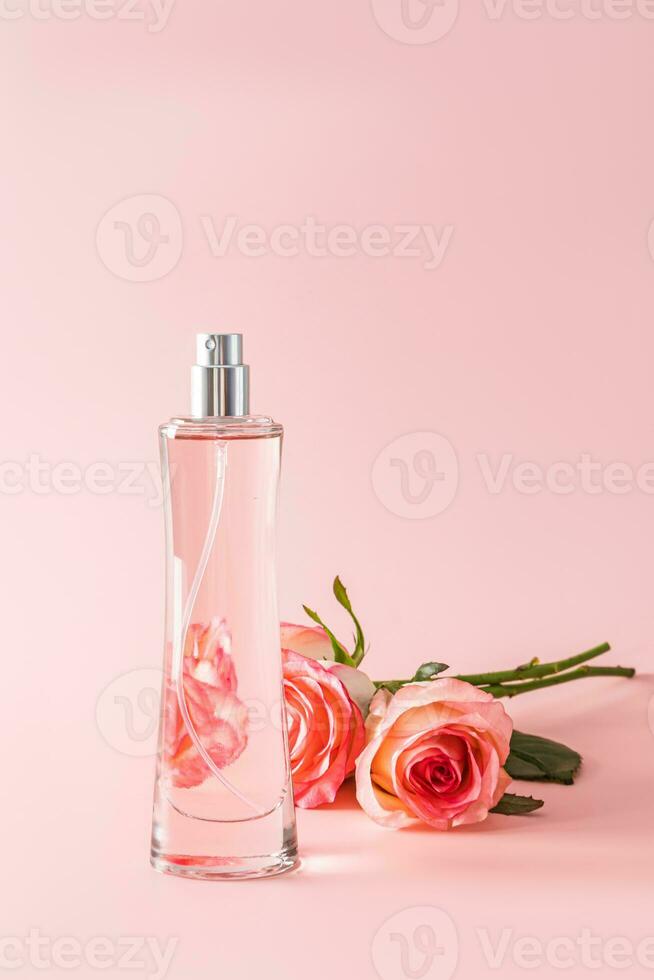 schön Flasche von Damen Parfüm oder Eau de Parfum gegen ein Hintergrund von  ein Rosa Chiffon Schal und frisch Rosen. Präsentation von das Duft.  24081348 Stock-Photo bei Vecteezy