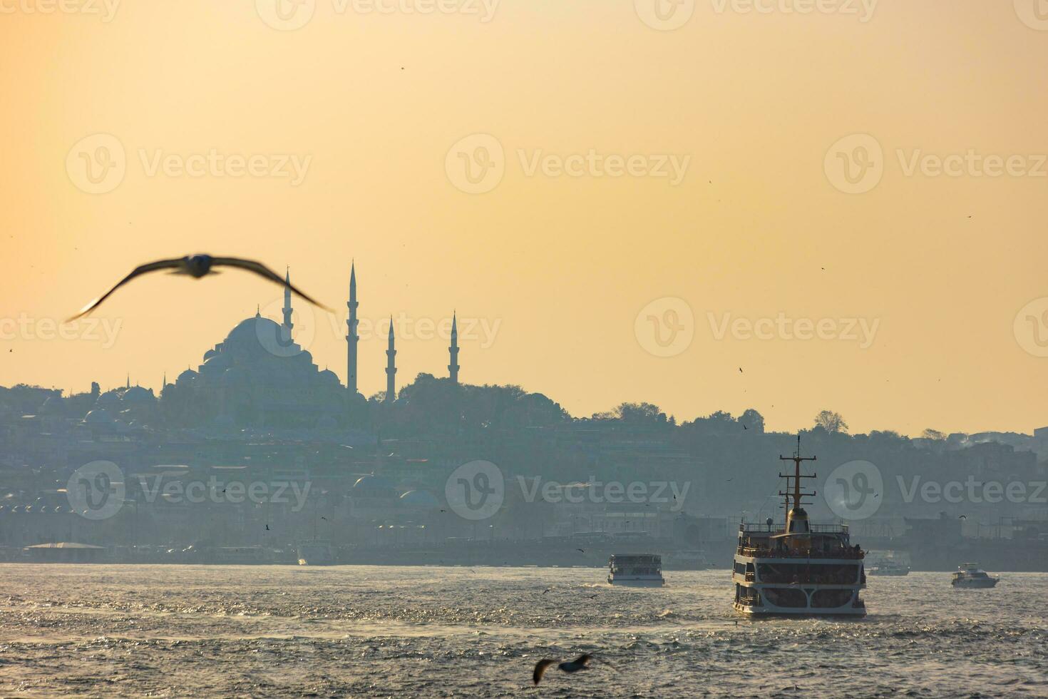 Istanbul Hintergrund Foto. Fähre und Silhouette von ein Moschee und Möwe foto