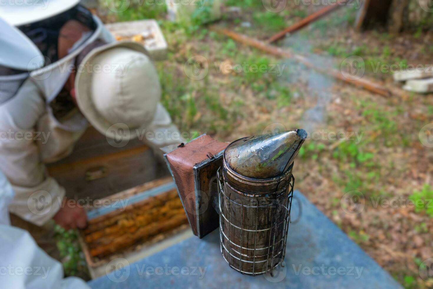 Biene Raucher auf das Bienenstock und Imker Arbeiten auf das Hintergrund foto