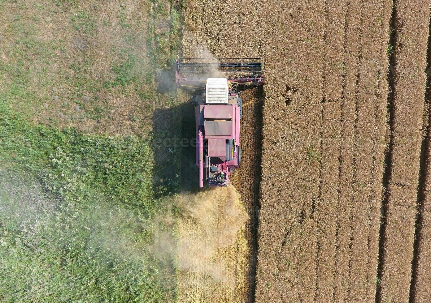 Reinigung Weizen Mähdrescher. oben Sicht. foto