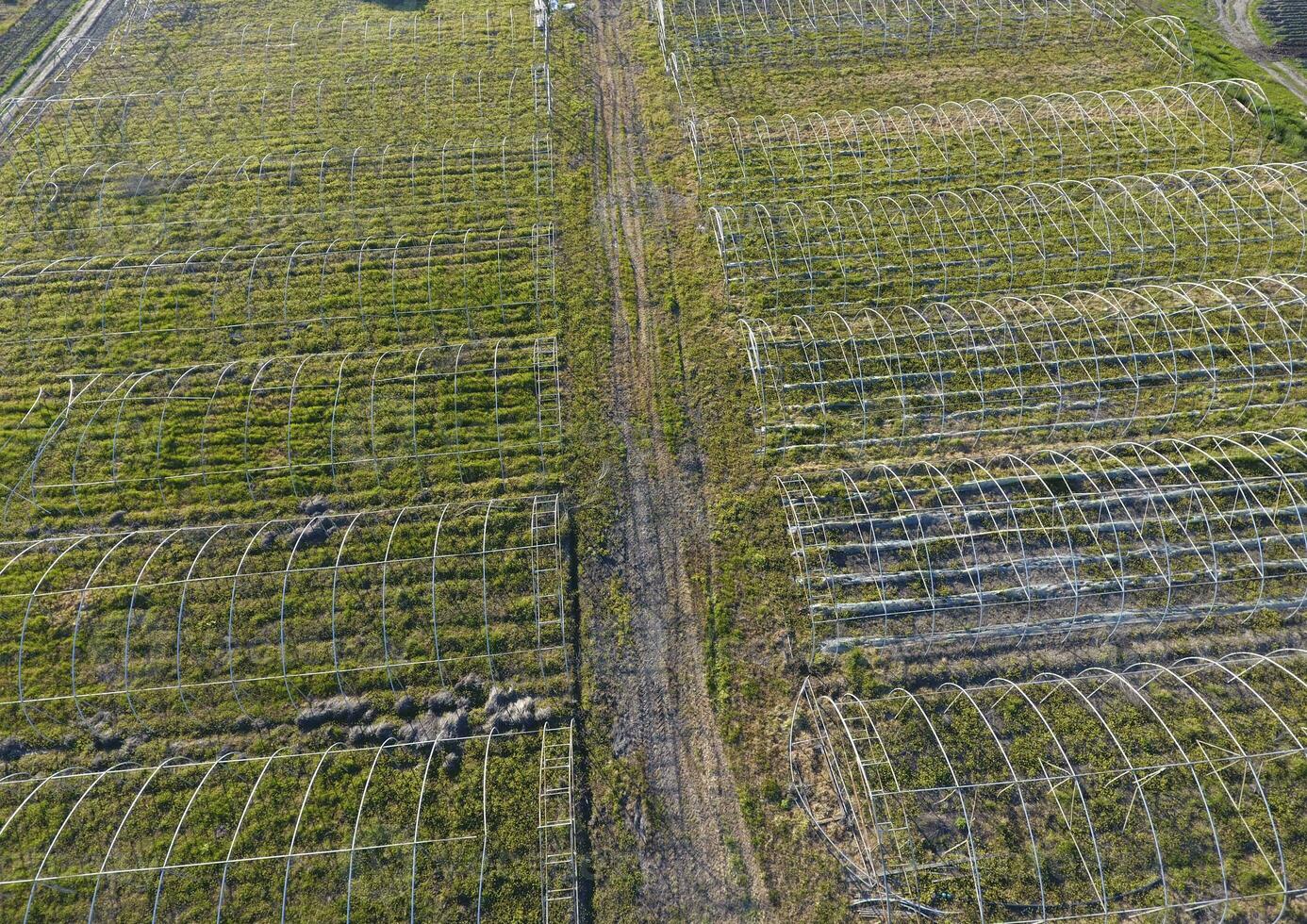 Frameworks von Gewächshäuser, oben Sicht. Konstruktion von Gewächshäuser im das Feld. Landwirtschaft, Agrotechnik von geschlossen Boden foto