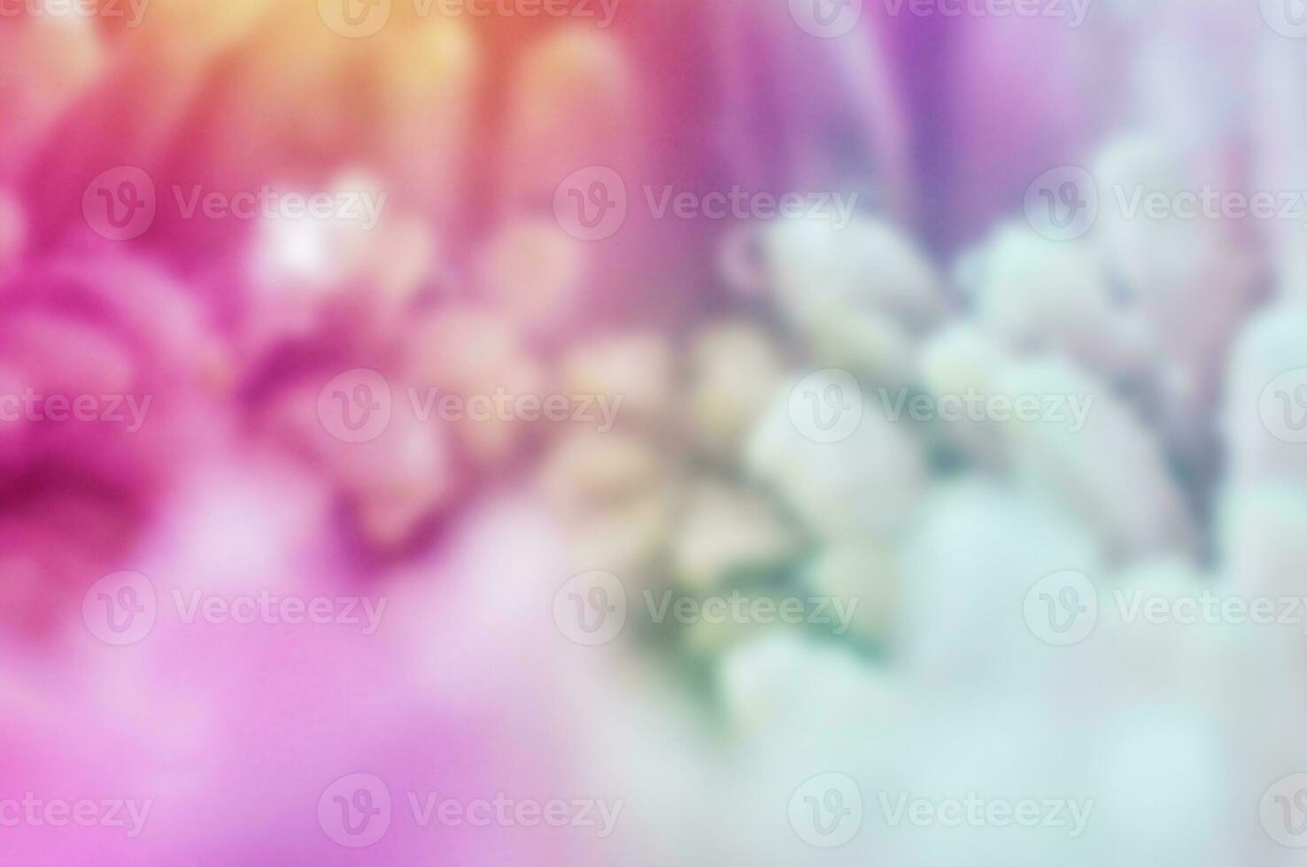 bunt verwischen Hintergrund mit Blume Blütenblatt Thema foto