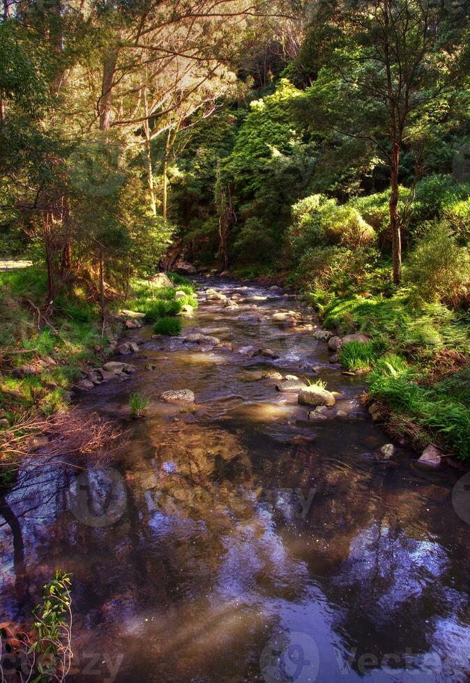 australisch Landschaft Aussicht foto