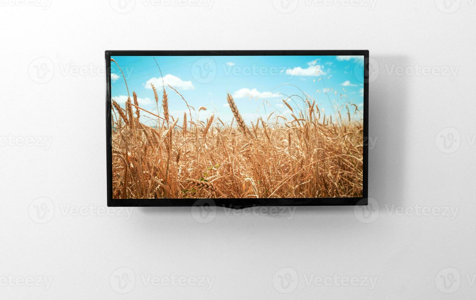 Fernseher Monitor auf das Mauer foto