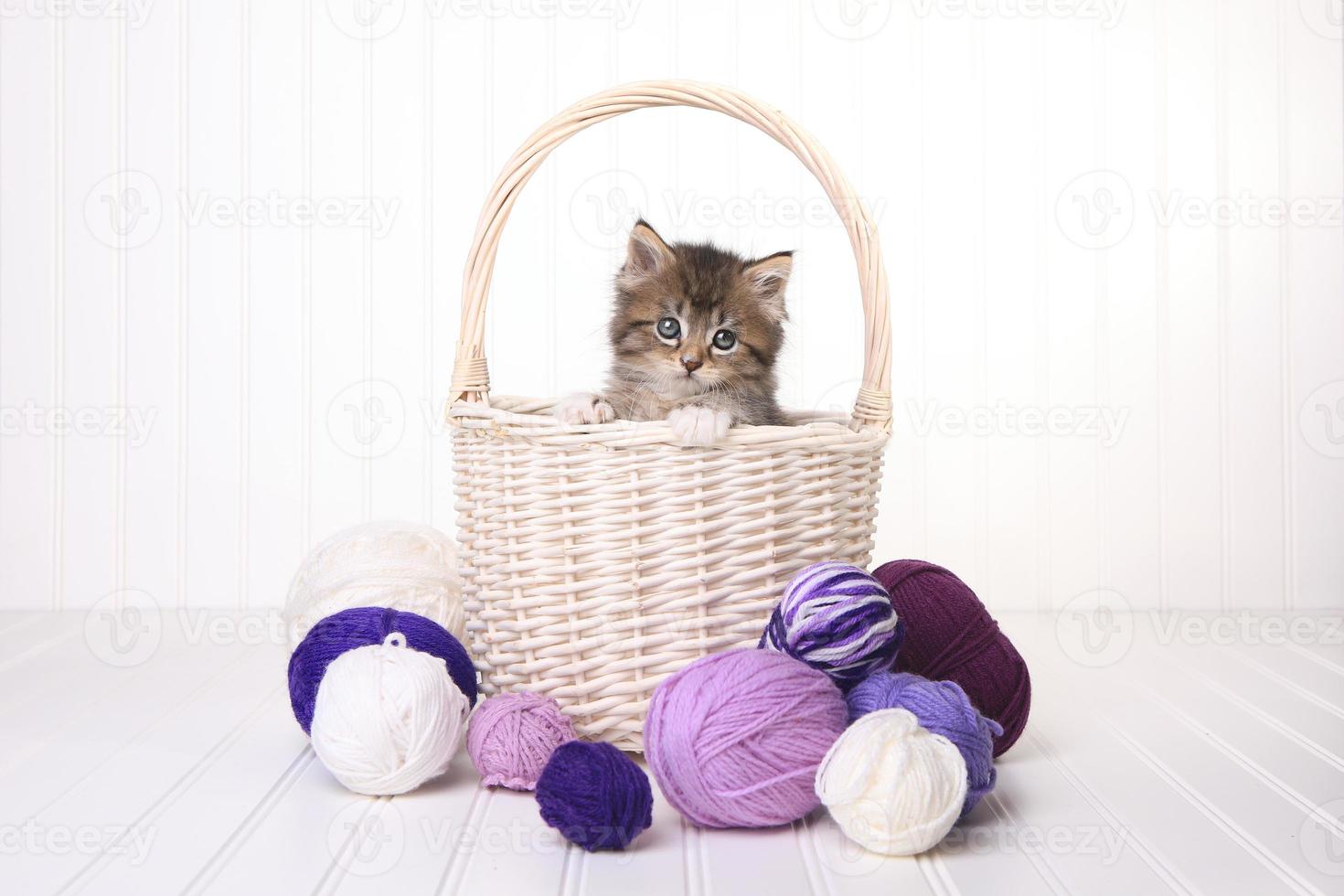 süßes Kätzchen in einem Korb mit Garn auf weiß foto