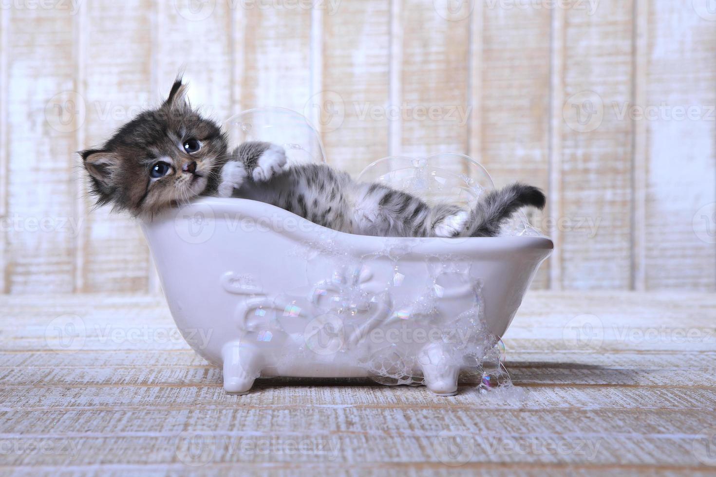 süßes entzückendes Kätzchen in einer entspannenden Badewanne foto