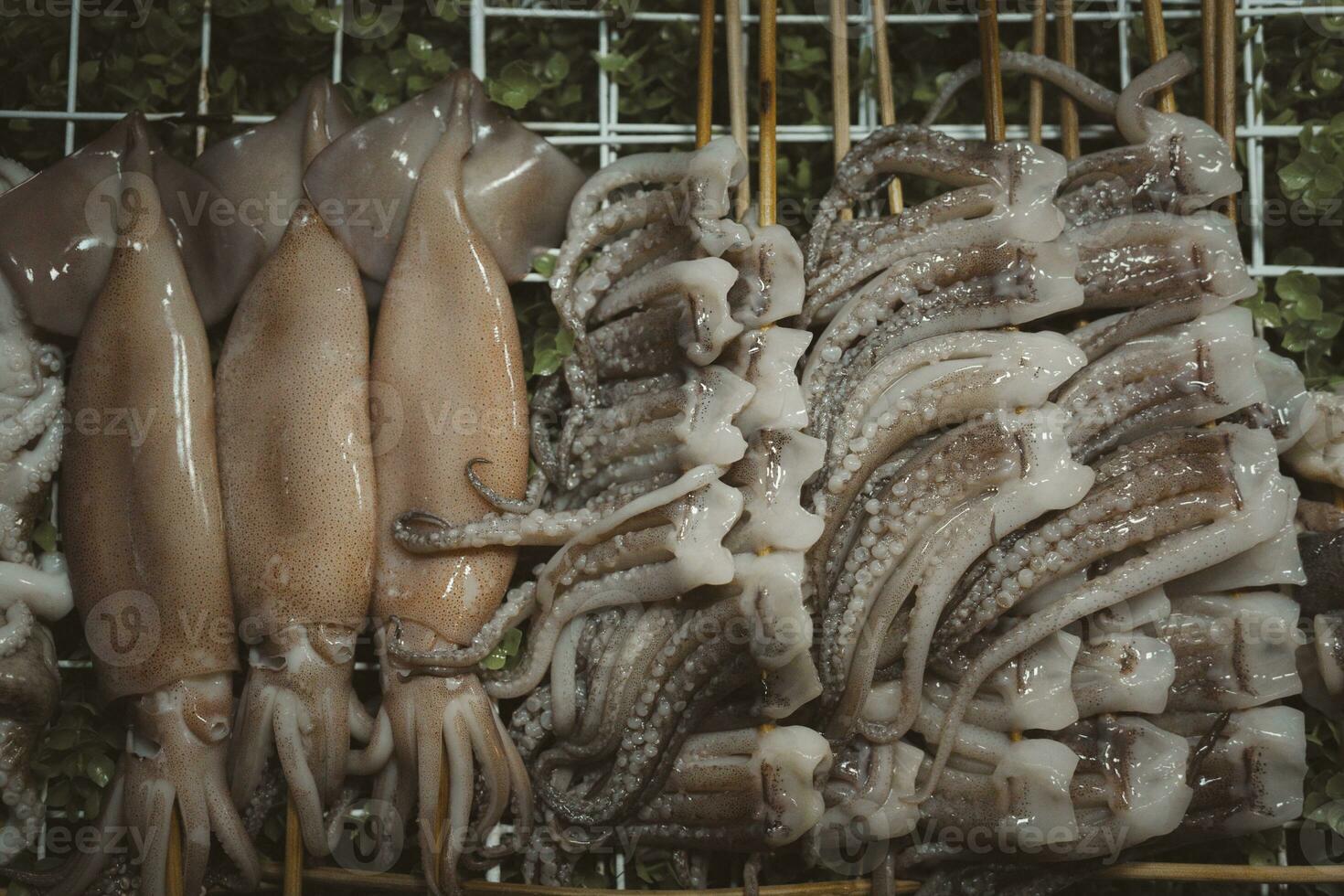 Tintenfisch auf ein Stock Spieße. gegrillt frisch Tintenfisch. foto