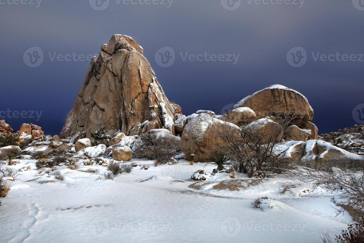 verschneite Landschaft im Joshua Tree Nationalpark foto