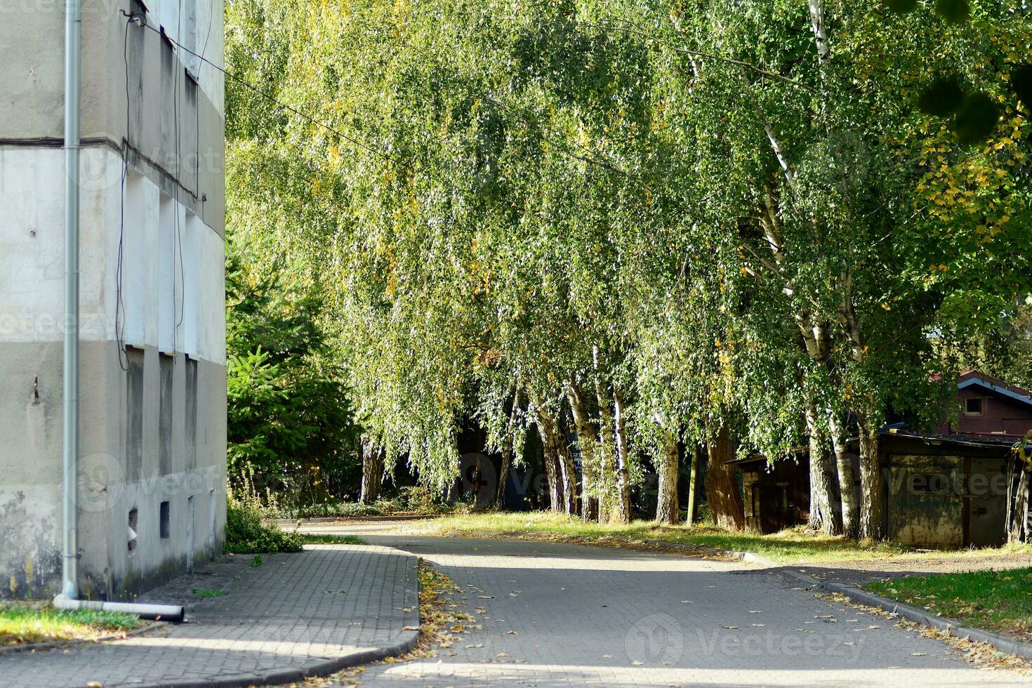 alt Stadt Gebäude im ein klein Stadt. foto