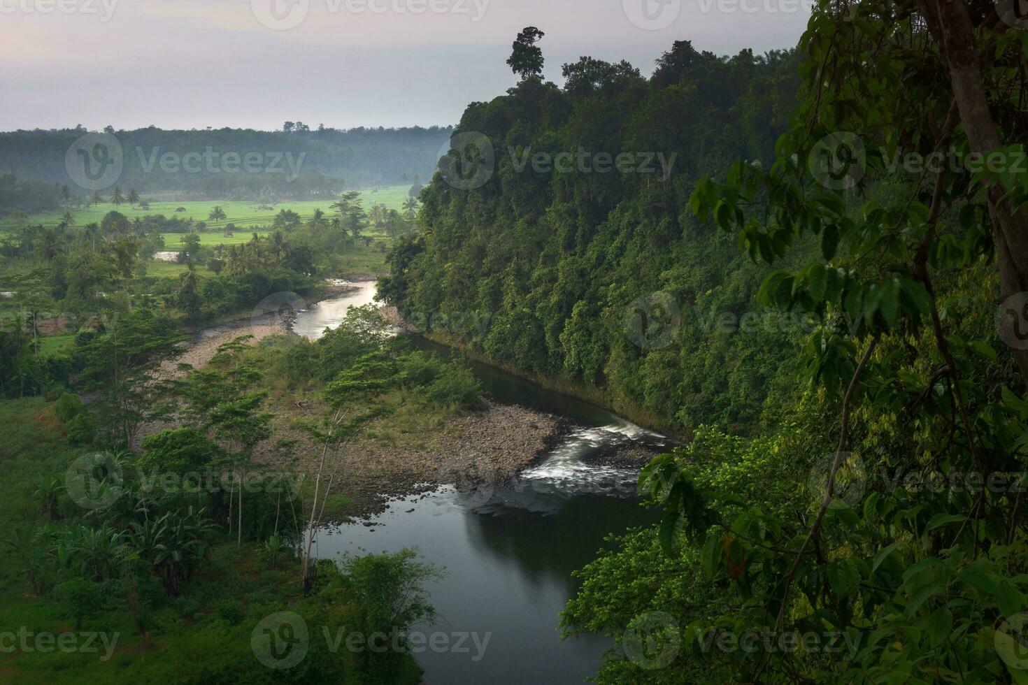 schön Morgen Aussicht Indonesien. Panorama Landschaft Paddy Felder mit Schönheit Farbe und Himmel natürlich Licht foto