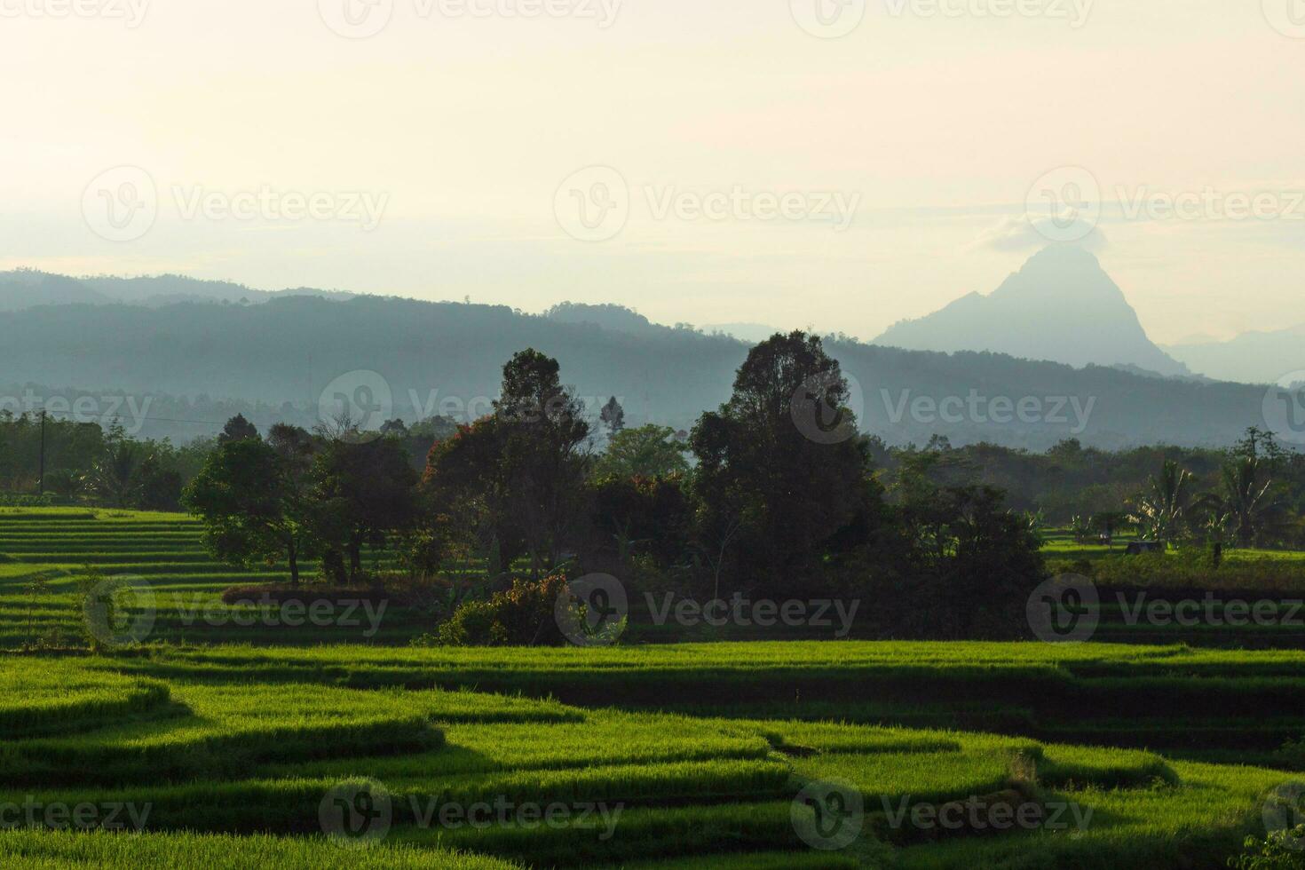 das Schönheit von das Morgen Panorama mit Sonnenaufgang im Indonesien Dorf foto